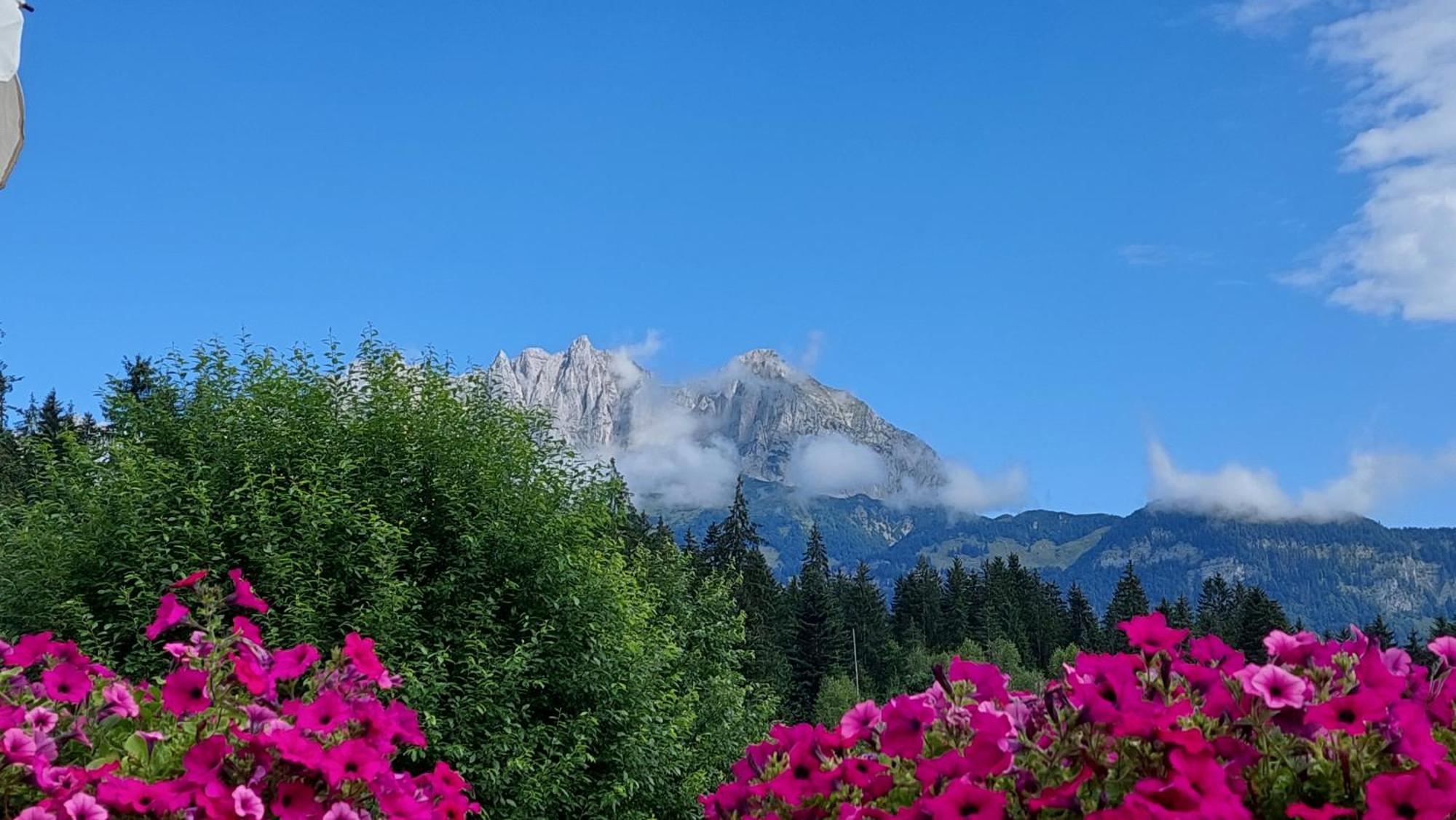 Gartenhotel Rosenhof Bei Kitzbuehel