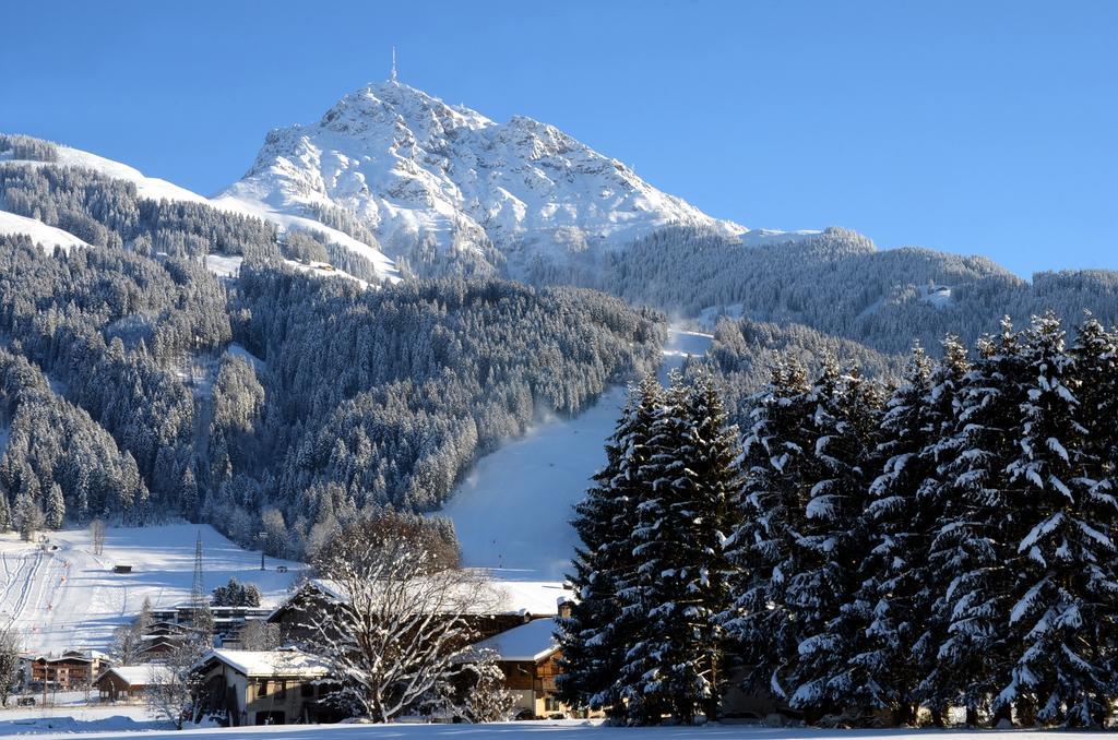 Gartenhotel Rosenhof Bei Kitzbühel Apartahotel 3*